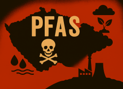 PFAS